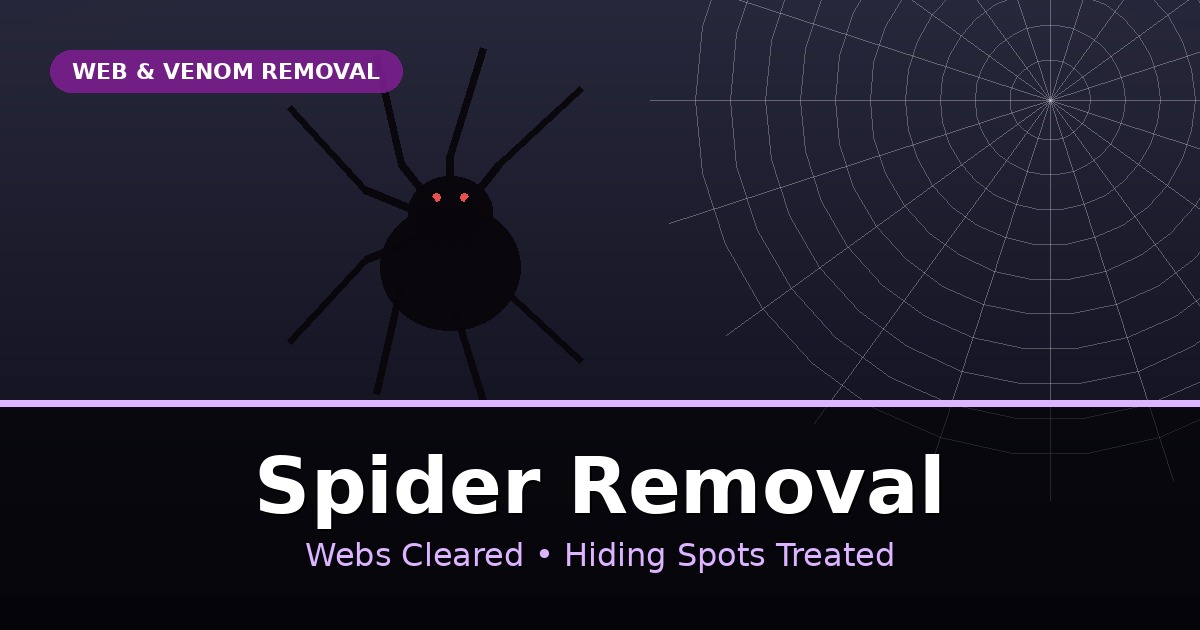 Professional spider removal services across Texas — experienced pest control technicians